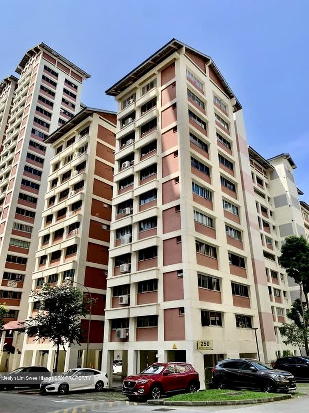 Blk 250 Bishan Street 22 (Bishan), HDB 4 Rooms #594701761